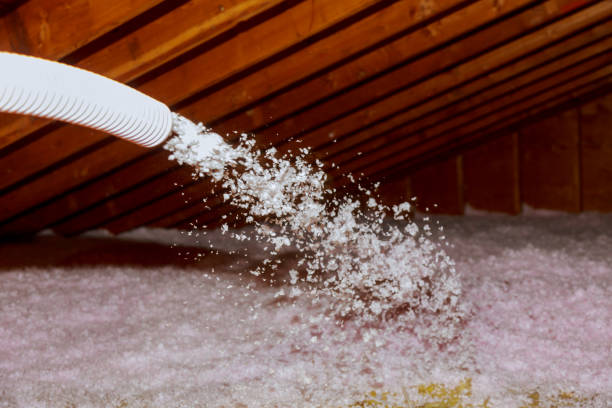 Best Geographic-Specific Insulation Services in Lford, MI